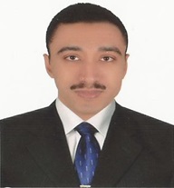 Mahmoud A. Mossa